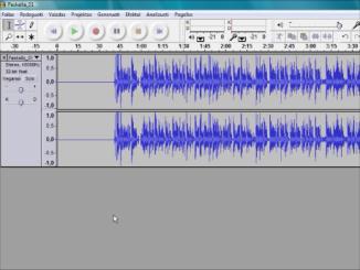 audacity didelis